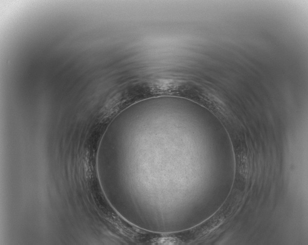 X0000059250324200510211635