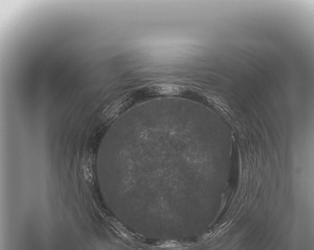 X0000059250325200510211635