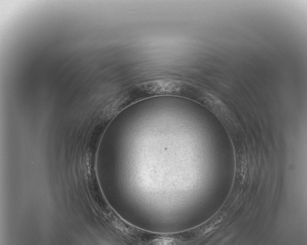 X0000059250326200510211635