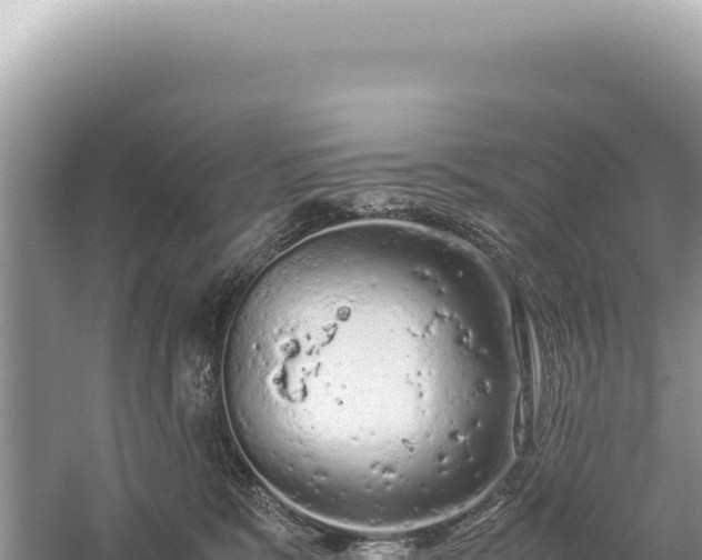 X0000059250327200510211635