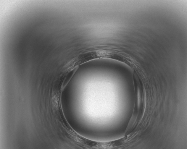 X0000059250329200510211635