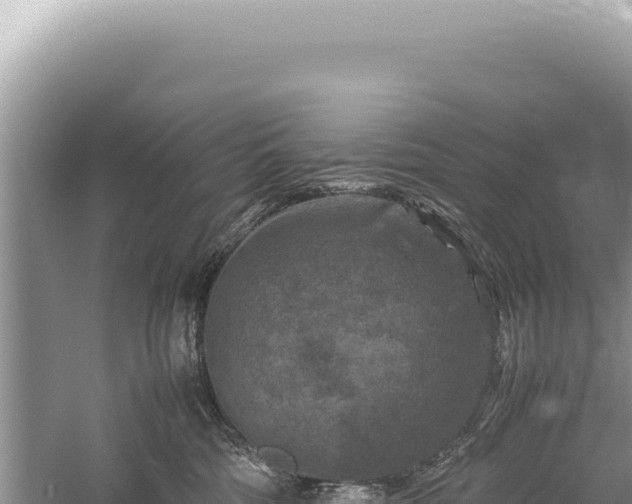 X0000059250330200510211635