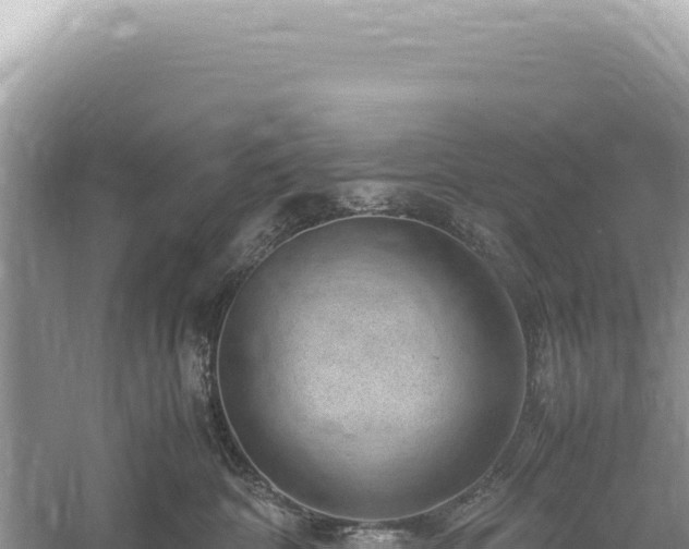 X0000059250332200510211635