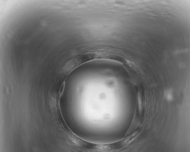 X0000059250333200510211635