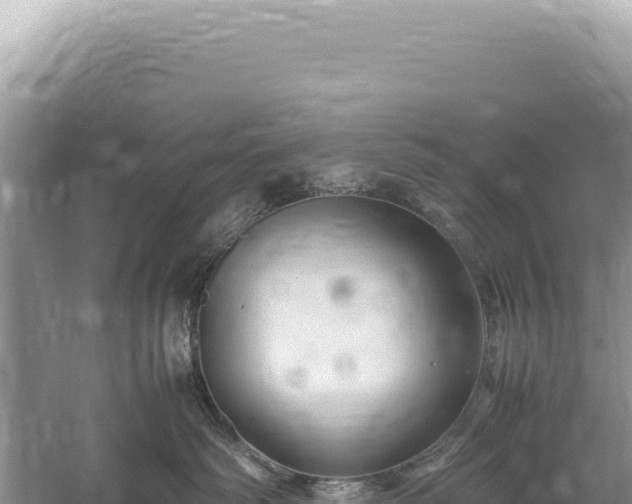 X0000059250334200510211635