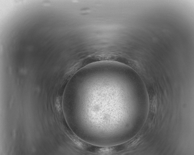 X0000059250335200510211635