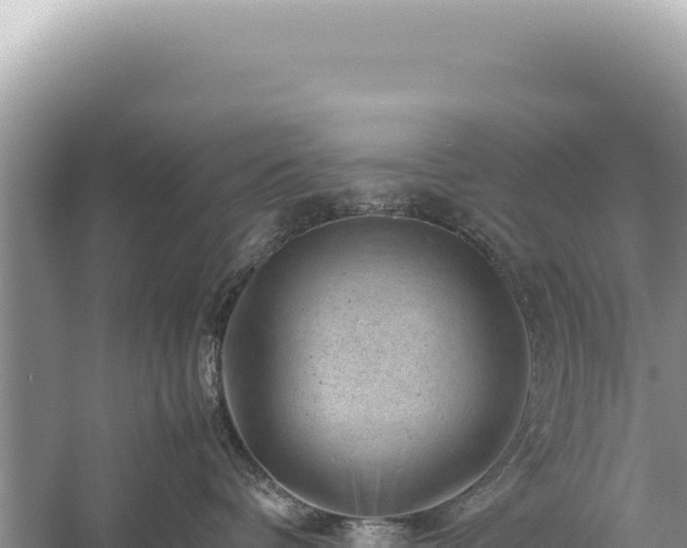 X0000059250336200510211635