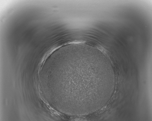 X0000059250337200510211634