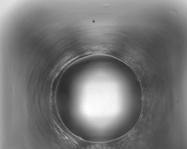 X0000059250338200510211634