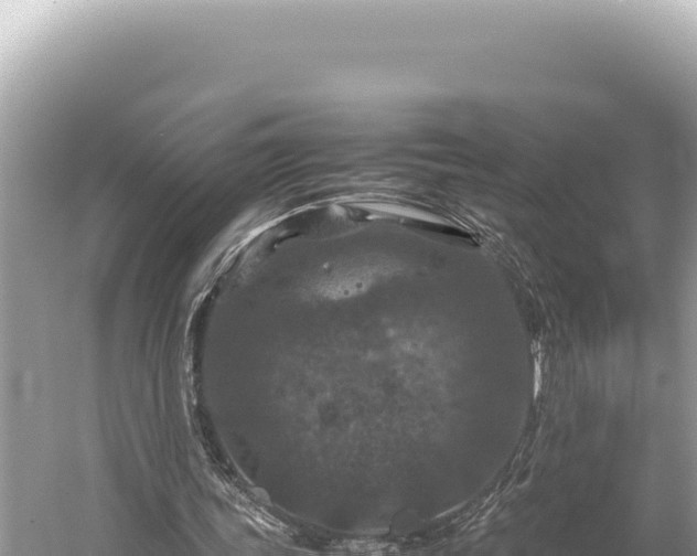 X0000059250339200510211634