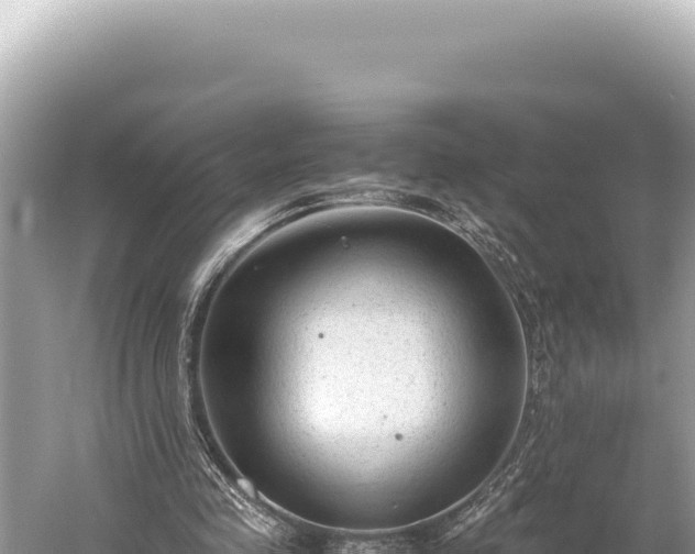 X0000059250341200510211634