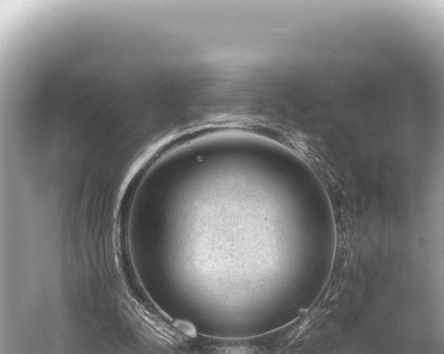 X0000059250342200510211634