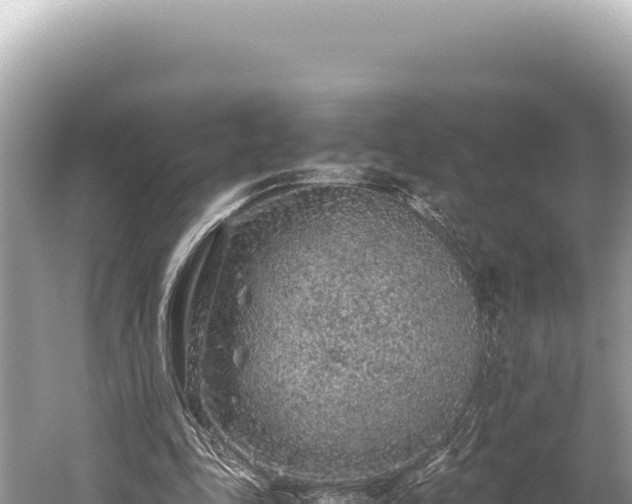 X0000059250343200510211634