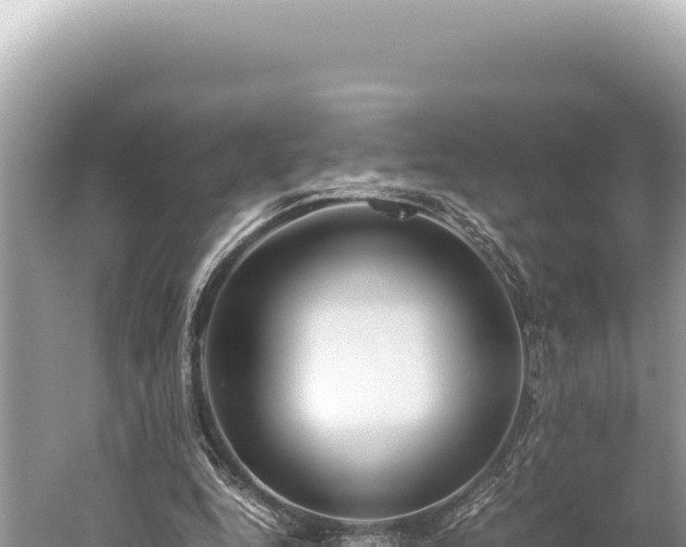 X0000059250344200510211634