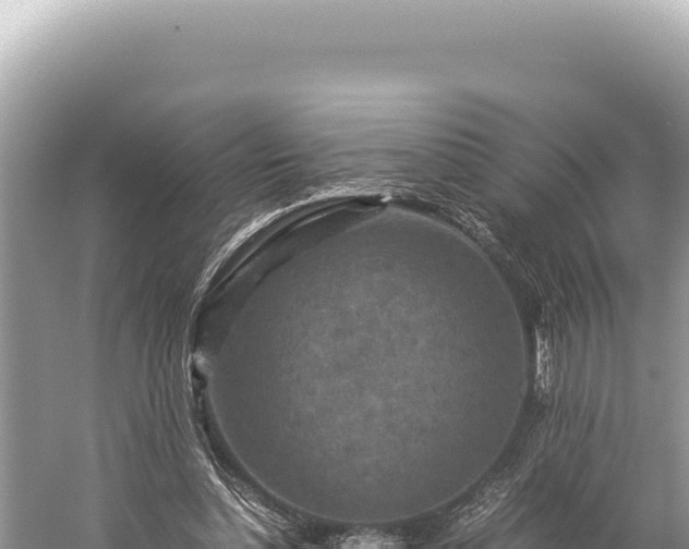 X0000059250348200510211635