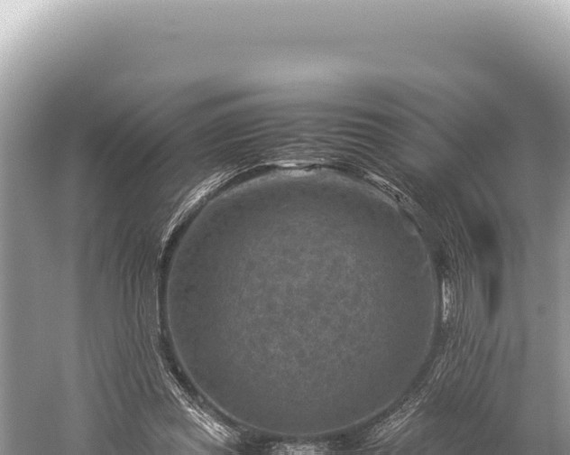 X0000059250349200510211635