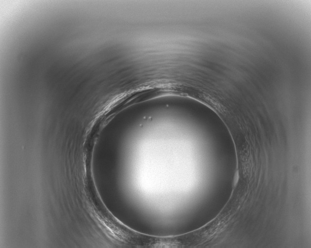 X0000059250350200510211635