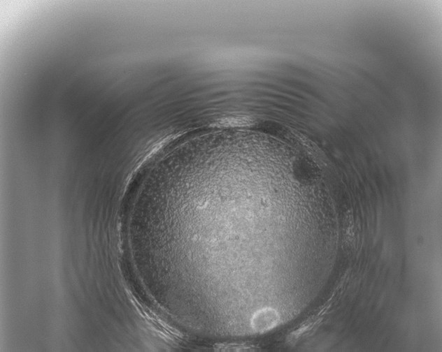 X0000059250351200510211635