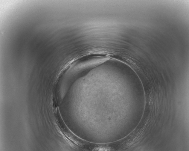 X0000059250352200510211635