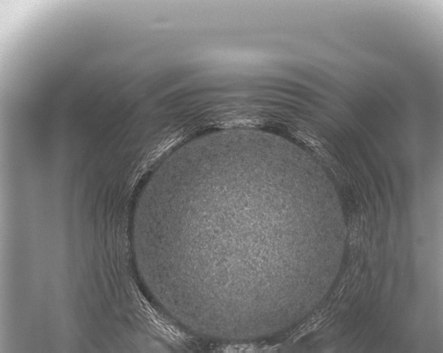 X0000059250353200510211635