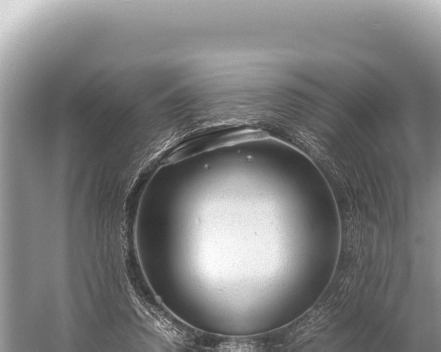 X0000059250354200510211635