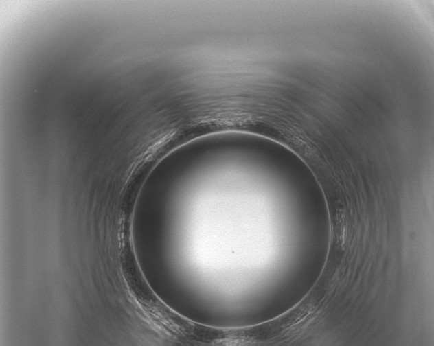 X0000059250356200510211635