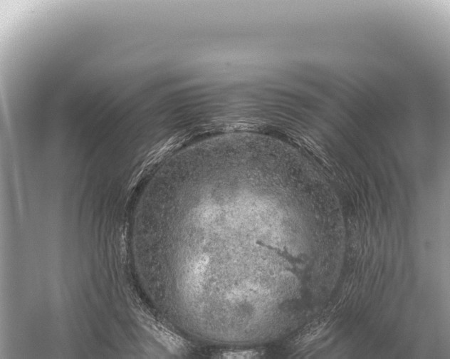 X0000059250357200510211635