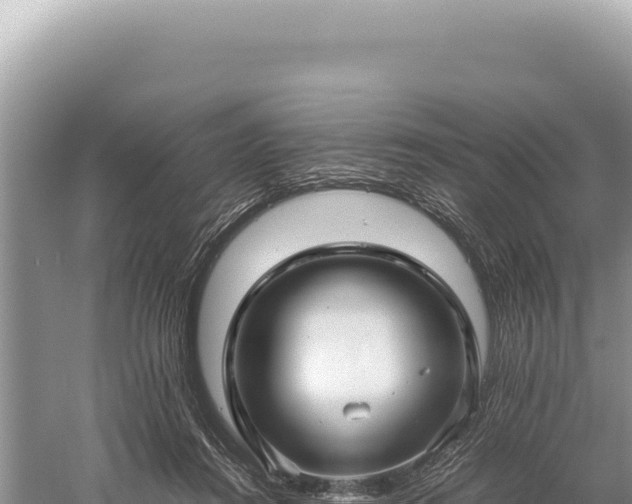 X0000059250360200510211635