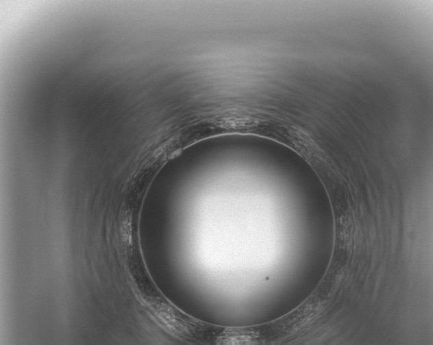 X0000059250368200510211635