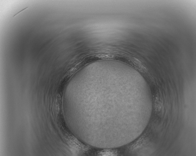 X0000059250370200510211635