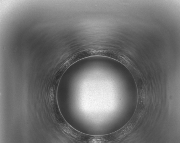 X0000059250372200510211635