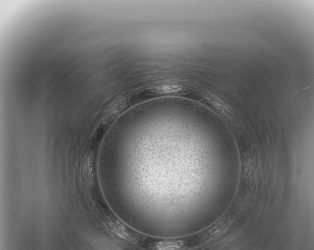 X0000059250373200510211635