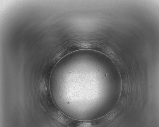 X0000059250374200510211635