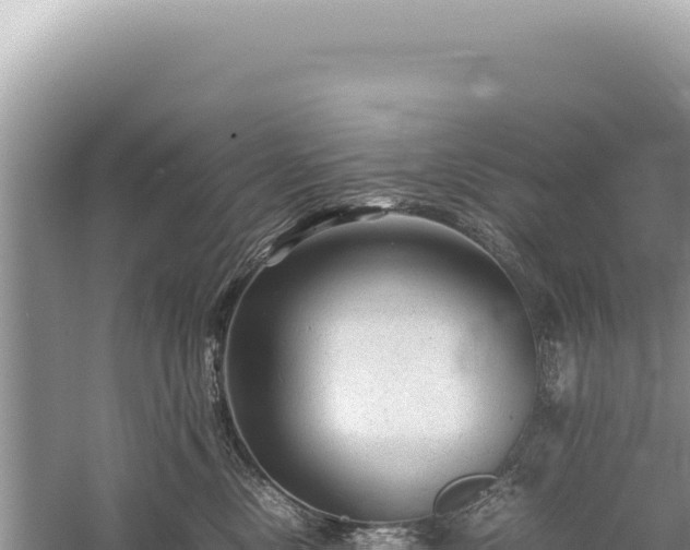 X0000059250378200510211635