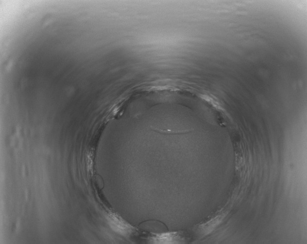 X0000059250382200510211635