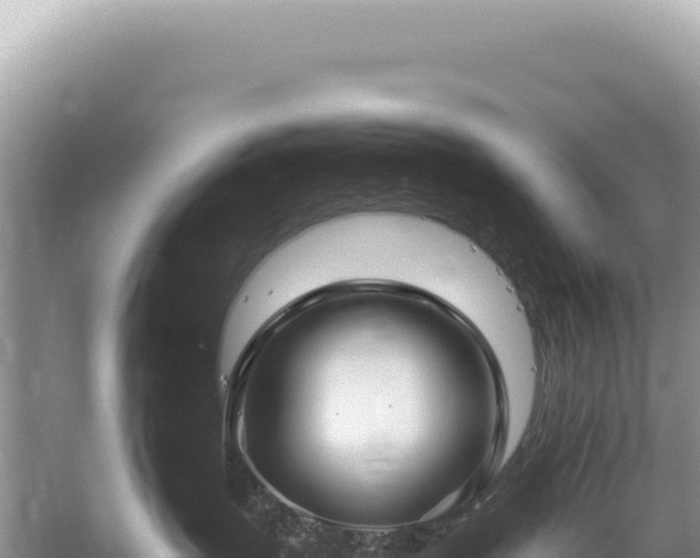 X0000059250383200510211635