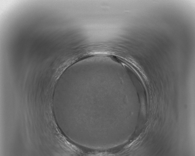 X0000059250385200510211634