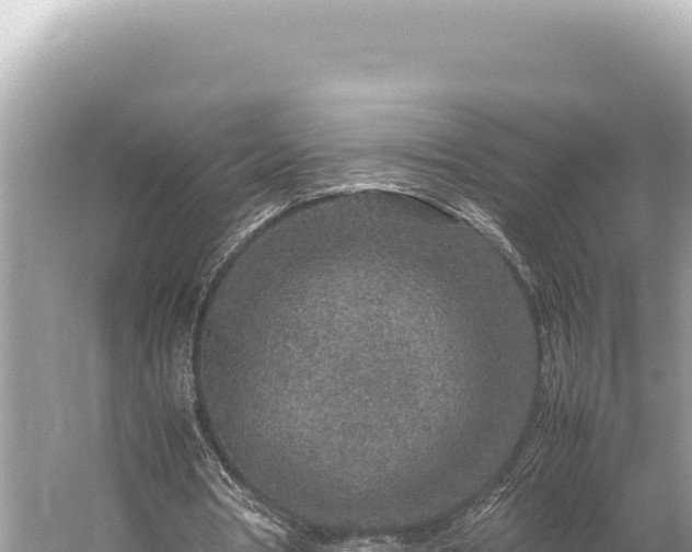 X0000059250386200510211634