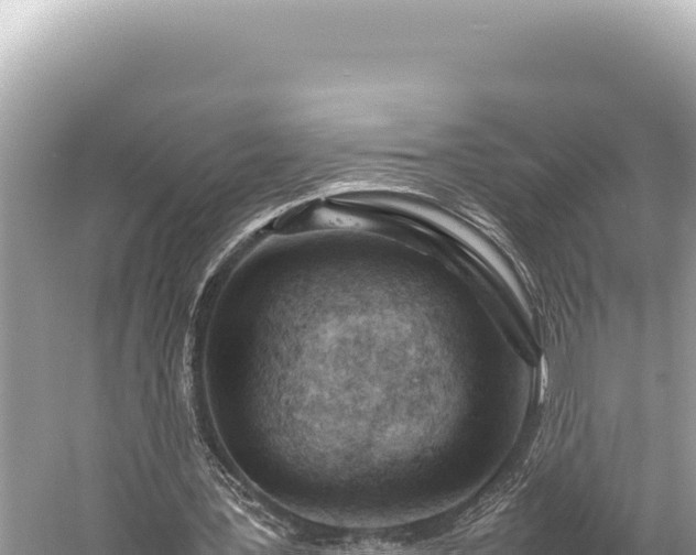 X0000059250387200510211634