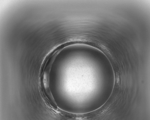 X0000059250388200510211634