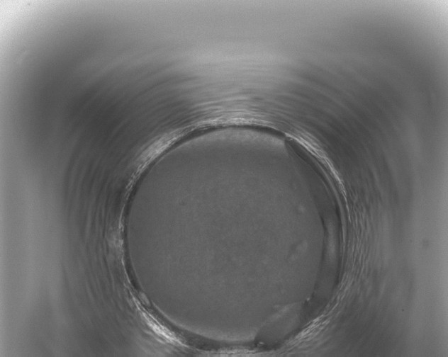 X0000059250389200510211634