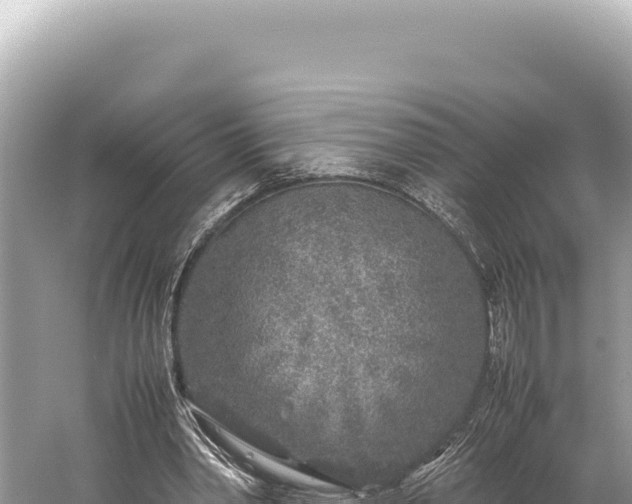 X0000059250390200510211634