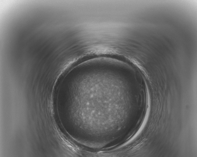 X0000059250391200510211634