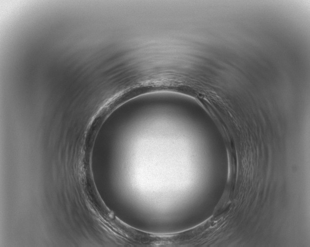 X0000059250392200510211634