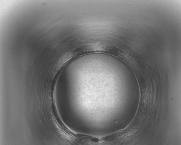 X0000059250394200510211634