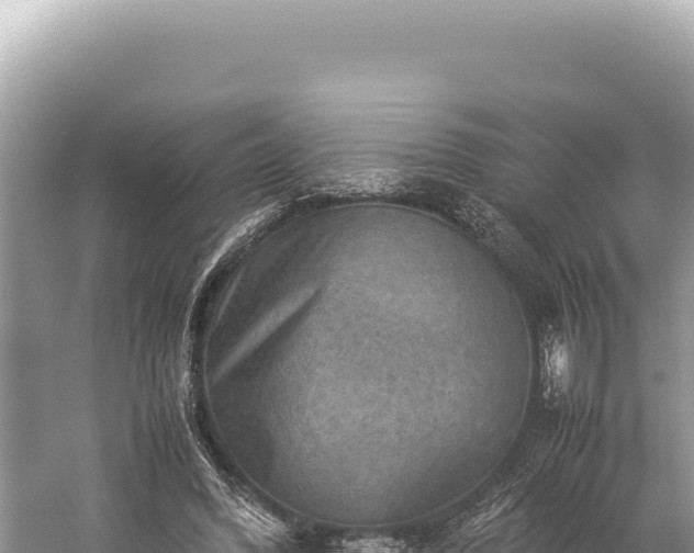 X0000059250396200510211634