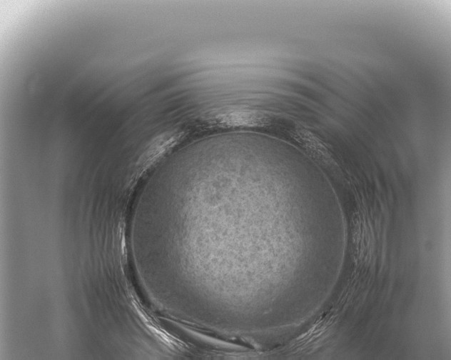 X0000059250398200510211634