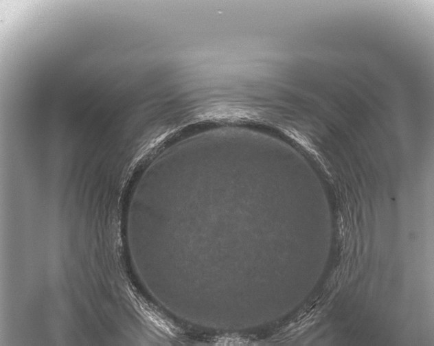 X0000059250399200510211634