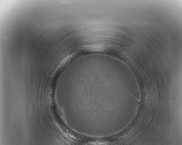 X0000059250400200510211634