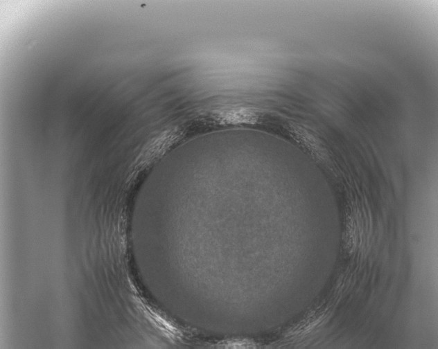 X0000059250402200510211634